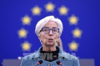 Chủ tịch ECB: Không có dấu hiệu cho thấy kinh tế Eurozone bị chững lại