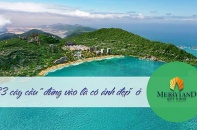 [Special] 33 cây cầu "đứng vào là có ảnh đẹp" ở MerryLand Quy Nhơn