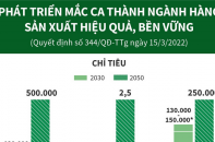 [Infographic] Phát triển mắc ca thành ngành hàng sản xuất hiệu quả, bền vững