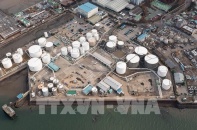 IEA hạ dự báo nhu cầu dầu mỏ toàn cầu trong năm 2022