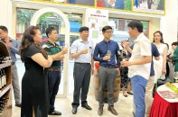 Trải nghiệm văn hóa vang tại Thăng Long Winery