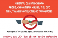 [Infographic] Nhiệm vụ của BCĐ phòng, chống tham nhũng, tiêu cực tỉnh, thành phố trực thuộc Trung ương