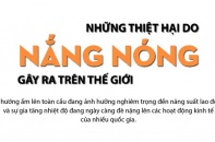[Infographic] Những thiệt hại do nắng nóng gây ra trên thế giới