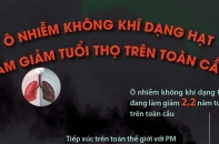[Infographic] Ô nhiễm không khí dạng hạt làm giảm tuổi thọ trên toàn cầu