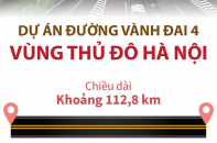 [Infographic] Dự án đường Vành đai 4 - Vùng Thủ đô Hà Nội