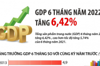 [Infographic] GDP 6 tháng năm 2022 tăng 6,42% 