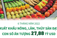 [Infographic] 6 tháng năm 2022, xuất khẩu nông, lâm, thủy sản đạt con số ấn tượng 27,88 tỷ USD