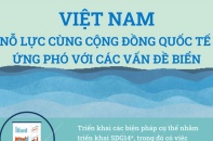 [Infographic] Việt Nam nỗ lực cùng cộng đồng quốc tế ứng phó với các vấn đề biển