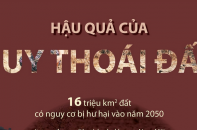 [Infographic] Hậu quả của suy thoái đất