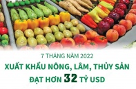 [Infographic] Hà Nội hoàn thành chỉ tiêu đón khách du lịch năm 2022