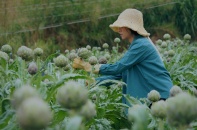 Ngân sách Nhà nước hỗ trợ khởi nghiệp và tạo việc làm trên địa bàn tỉnh có huyện nghèo