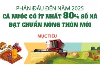 [Infographic] Phấn đấu đến năm 2025, cả nước có ít nhất 80% số xã đạt chuẩn nông thôn mới