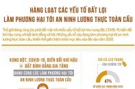 Hàng loạt yếu tố bất lợi làm phương hại tới an ninh lương thực toàn cầu