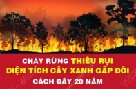 Cháy rừng thiêu rụi diện tích cây xanh gấp đôi cách đây 20 năm
