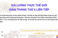 Giá lương thực thế giới giảm tháng thứ 6 liên tiếp