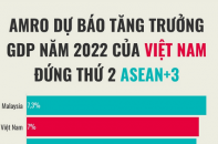 AMRO dự báo tăng trưởng GDP năm 2022 của Việt Nam đứng thứ 2 ASEAN+3