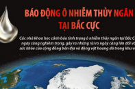 Báo động ô nhiễm thủy ngân tại Bắc Cực