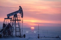Tổng thư ký OPEC: Thị trường dầu mỏ trải qua giai đoạn biến động mạnh