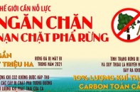 Thế giới cần nỗ lực ngăn chặn nạn chặt phá rừng