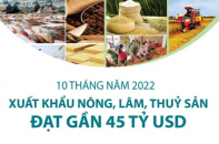Xuất khẩu nông, lâm, thủy sản đạt gần 45 tỷ sau 10 tháng năm 2022