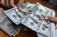 CPO27: WB kêu gọi các nước giàu tăng tài trợ cho các hành động chống biến đổi khí hậu
