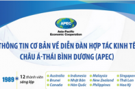 Thông tin cơ bản về Diễn đàn Hợp tác kinh tế châu Á - Thái Bình Dương (APEC)