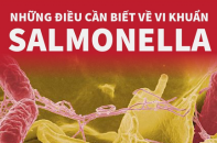 Những điều cần biết về vi khuẩn Salmonella