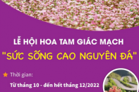 Lễ hội hoa Tam Giác Mạch: "Sức sống cao nguyên đá"