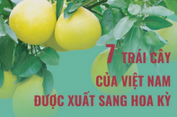 Điểm danh 7 loại trái cây của Việt Nam được xuất sang Hoa Kỳ