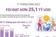 Việt Nam thu hút FDI đạt hơn 25,1 tỷ USD sau 11 tháng năm 2022