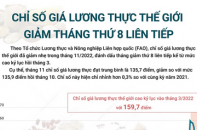 Chỉ số giá lương thực thế giới giảm tháng thứ 8 liên tiếp