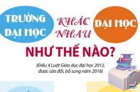 Đại học và trường đại học khác nhau như thế nào?