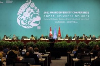 COP15: Thêm 6 nước cam kết tăng hỗ trợ tài chính để bảo tồn hệ sinh thái