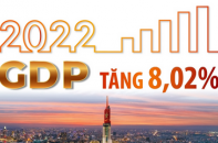 GDP năm 2022 tăng 8,02%