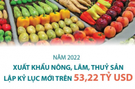 Năm 2022, xuất khẩu nông, lâm, thủy sản lập kỷ lục mới trên 53,22 tỷ USD