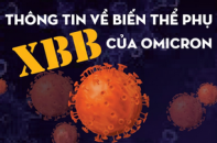 Thông tin về biến thể phụ XBB của Omicron
