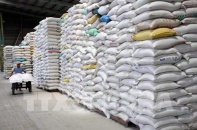 Xuất cấp gạo hỗ trợ nhân dân 5 tỉnh dịp Tết Nguyên đán Quý Mão và giáp hạt năm 2023
