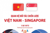 Quan hệ Đối tác chiến lược Việt Nam - Singapore