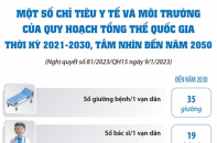 Một số chỉ tiêu y tế và môi trường của Quy hoạch tổng thể quốc gia thời kỳ 2021-2030, tầm nhìn đến năm 2050