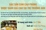 Đặc sản cam Cao Phong được đánh giá cao tại thị trường Anh