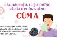 Các dấu hiệu, triệu chứng và cách phòng bệnh cúm A