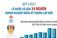 Quý I/2023, cả nước có gần 34 nghìn doanh nghiệp đăng ký thành lập mới