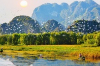 Ban hành kế hoạch tổ chức thẩm định Quy hoạch bảo tồn đa dạng sinh học quốc gia