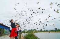 Huyện An Lão (Hải Phòng) "về đích" chuẩn nông thôn mới