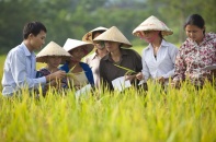 Chính phủ ban hành Nghị định quy định về bảo hiểm vi mô