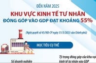 Đến năm 2025, khu vực kinh tế tư nhân đóng góp vào GDP đạt khoảng 55%