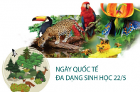 Ngày Quốc tế đa dạng sinh học 22/5: Thay đổi hành vi, thúc đẩy lối sống hài hòa với thiên nhiên
