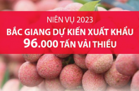 Bắc Giang dự kiến xuất khẩu 96.000 tấn vải thiều trong niên vụ năm 2023