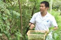 Doanh nhân Ngô Đức Phương: "Thuốc nam là kho báu của người Việt"