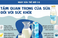 Ngày Sữa Thế giới 1/6: Tầm quan trọng của sữa đối với sức khỏe